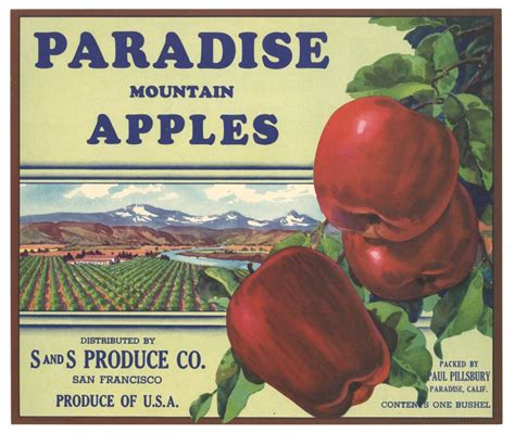 Paradise Brand Vintage California Apple Crate Label Thelabelman