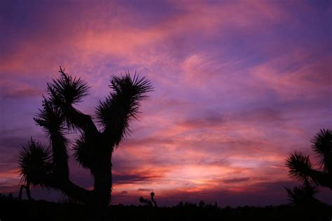 Desert Sunset Shutterbug