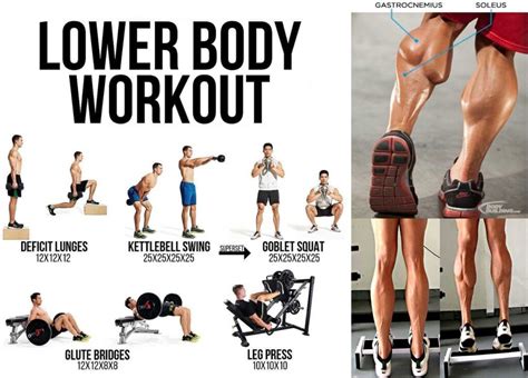 Best Lower Body Workout Leg Workout Efitnesshelp