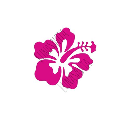 Hibiscus Flower Svg Free File Design My XXX Hot Girl