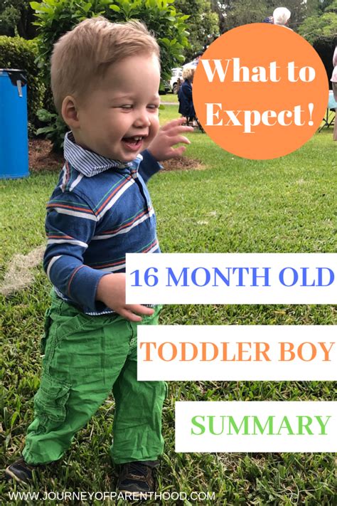 16 Month Old Toddler Boy Monthly Recap And Summary What To Expect With
