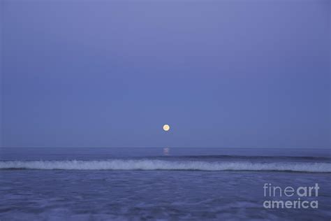 Blue Moon Photograph By Ashlee Meyer Fine Art America
