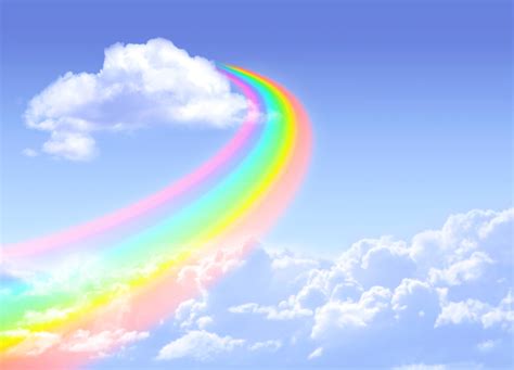 Rainbow Bridge Remembrance Day August 28th Days Of The Year