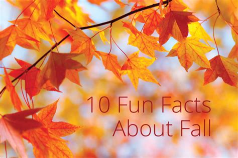 10 fun facts about fall fun facts about fall fall facts fun facts