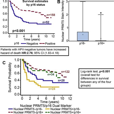 Nuclear Prmt5 Expression Is Significantly Lower In P16 Positive Tumors