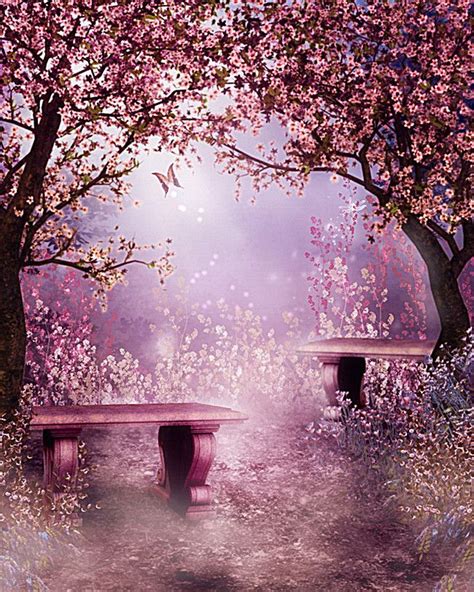 Romantic Garden Background Tree Photography Background For
