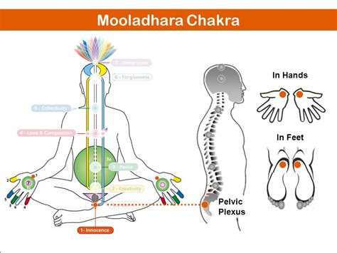 Mooladhara Chakra Innocence Sahaja Yoga Science