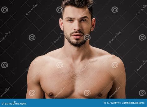 Sexy Nackter Brunette Mann Stockbild Bild Von Erwachsener