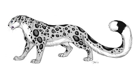 Hybrid animal illustrations google search animals. Snow Leopard~ | Leopard art, Big cats art, Snow leopard art