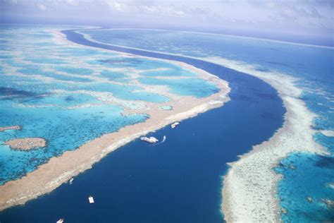 The Great Barrier Reef A Heritage Site In Danger According To Unesco