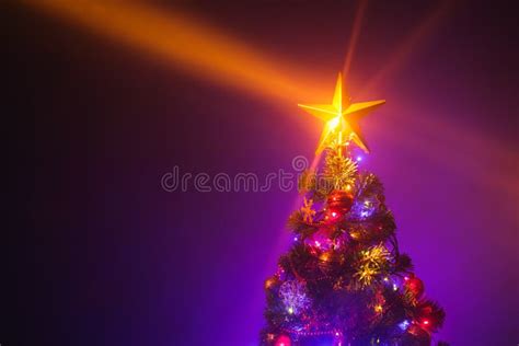 Christmas Tree With Shining Star And Dense Mist Stock Image Image Of
