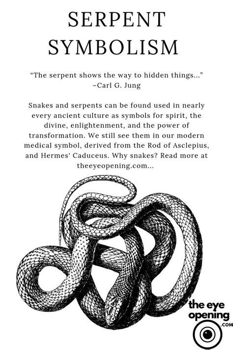Serpent Symbolism In Spirituality Serpent Symbolism Symbols Symbols