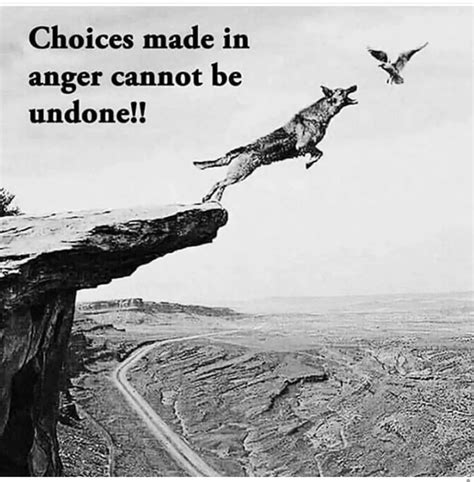 Choices Made In Anger Cannot Be Undone Phrases