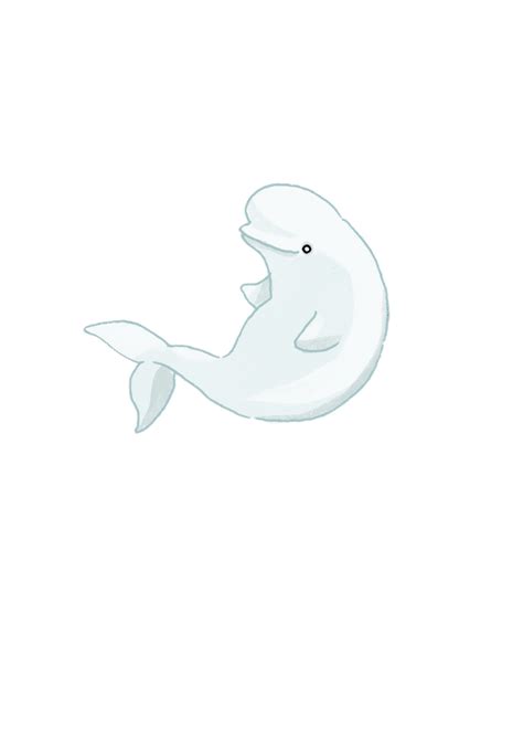 Beluga Whale Sticker By Katherine Blower Illustrator Designer White