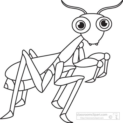 Stick Insect Clip Art Black And White Sketch Coloring Page
