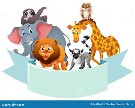 Banner Template With Wild Animals Stock Vector Illustration Of