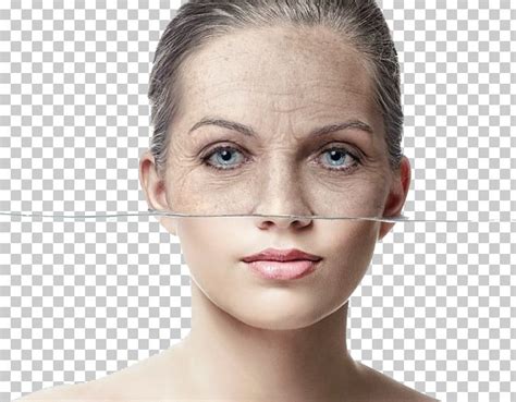 George town world heritage city day: Anti-aging Cream Wrinkle Face Ageless PNG, Clipart, Ageing ...