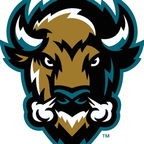 Animal Logo Fantasy Logo Bison Logo