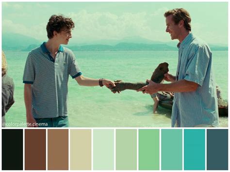 Cinema Palettes Cinemapalettes Twitter In Color Palette Movie Color Palette Color