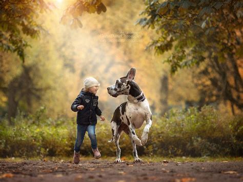 Andy Seliverstoffs Charming Photos Of Little Kids And Their Big Dogs