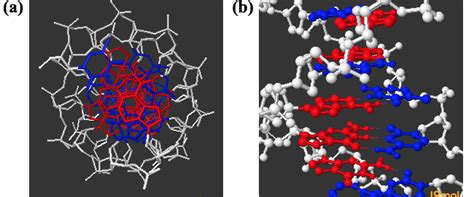 Solved Twist In The Dna Double Helix 9to5science