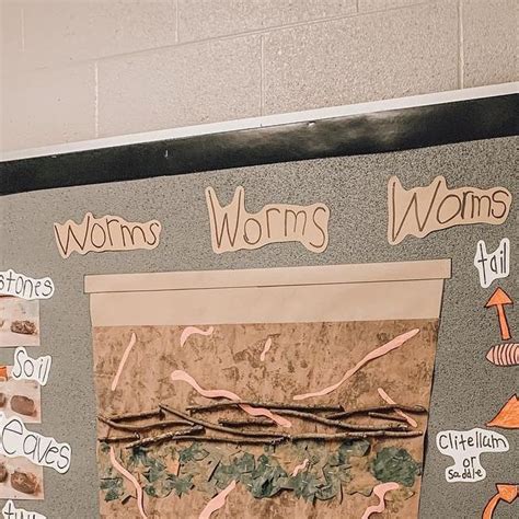 Paula On Instagram Showcasing Our Worm Inquiry Learning On Our