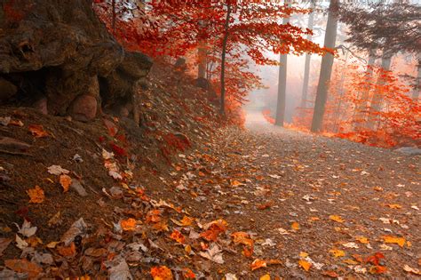 Misty Autumn Wonderland Trail By Somadjinn On Deviantart