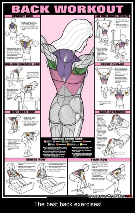 In this way, you maintain body composition and blood glucose levels (3). Back workout chart | Workout posters, Fitness body, Back ...