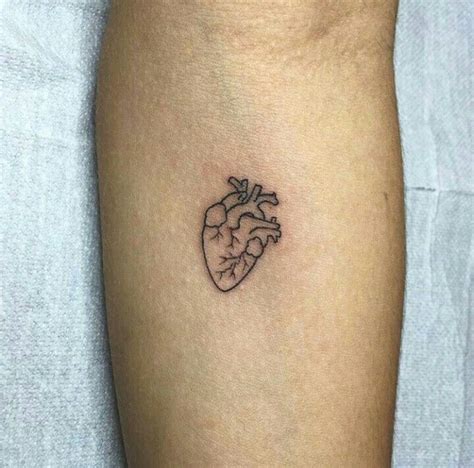 120 Realistic Anatomical Heart Tattoo Designs For Men 2022 With Meanings Anatomical Heart