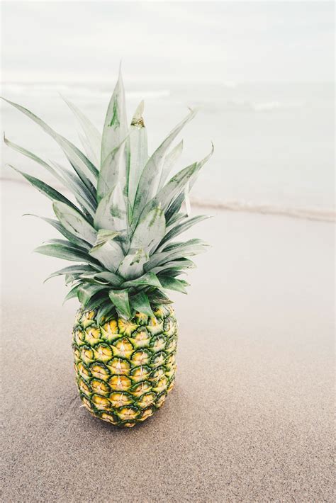 #food #fruit #pineapple #pineapple #fruit #on pineapple fruit on gray surface | Pineapple ...