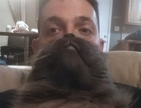 Image 550126 Cat Beards Know Your Meme