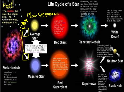 Stars Life Cycle Sci661dylan