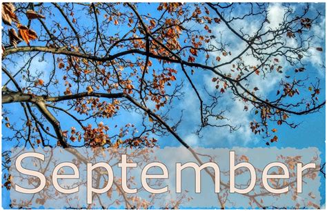 What I'm Doing This Month - September