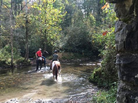 10 Best Things To Do In Great Smoky Mountains With Kids