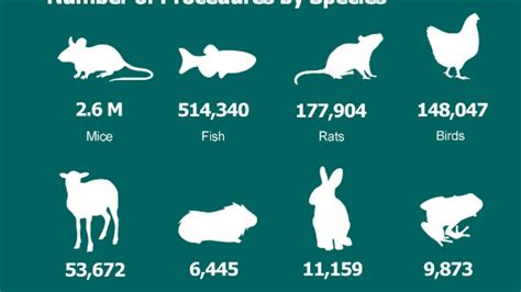 Animal Research Statistics For Great Britain 2018 Understanding