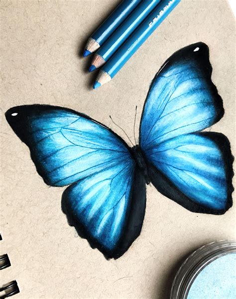 Pin By Kayleerooks On Quality Pins Prismacolor Art Butterfly Drawing