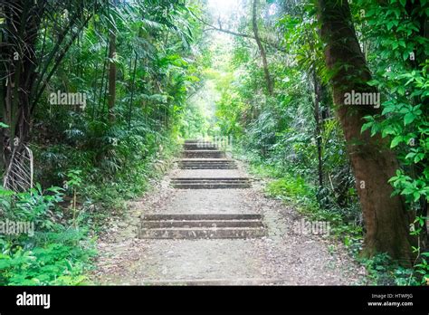 Marang Trail Hi Res Stock Photography And Images Alamy