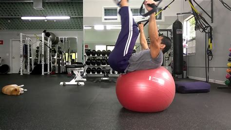 Lvl 4 Strengthstabilitytrxbackswiss Ball Supine Leg Raises