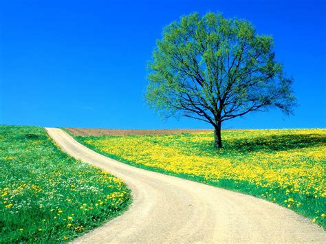 Spring Road Wallpapers Wallpaper Cave