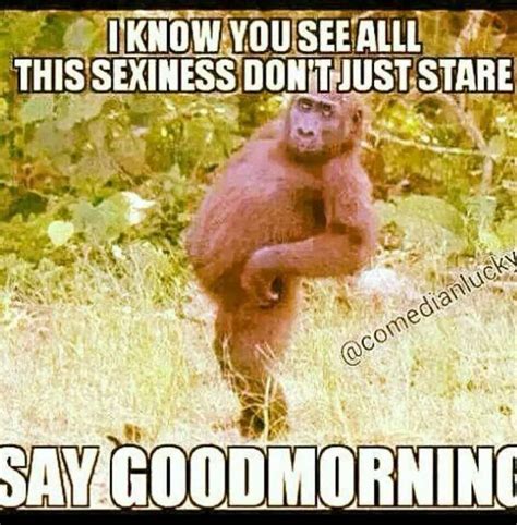 Oh Yes Funny Good Morning Memes Funny Good Morning Quotes Morning