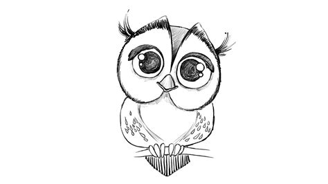 Easy And Cute Owl Drawing Cute Easy Tutorial For Beginners