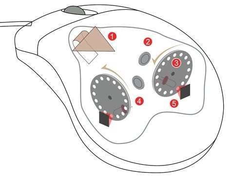 How Mouse Works