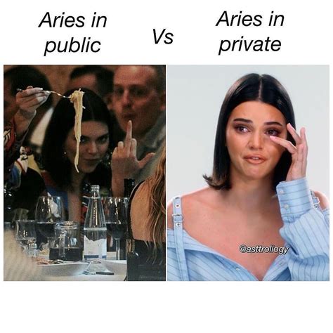 Are You An Aries R Astrologymemes