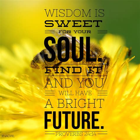Wisdom Is Sweet For Your Soul Find It And You Will Have A Bright
