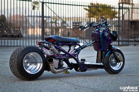 These fascinating ruckus style scooter are equipped with robust tires and can ride in all sorts of road conditions. 2008 Honda Ruckus - Moto.ZombDrive.COM