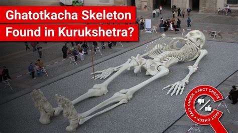 Giant Human Skeletons Wiki