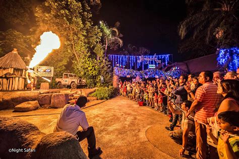 Pelbagai penyelidikan dan kajian telah dibuat bagi memastikan haiwan di sini. Singapore Night Safari - Ethical Wildlife Attraction at ...