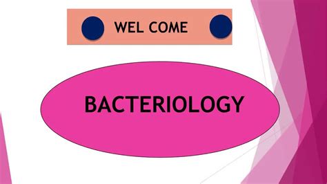 Morphology Of Bacteria Bacteriology And Microbiology