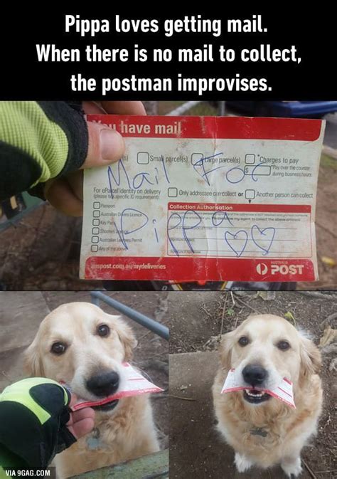 A Postman From Brisbane Wrote Letters To The Pup Funny Citazioni Su