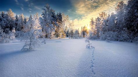 Зима лес лучи солнца обои для рабочего стола картинки фото 1920x1080